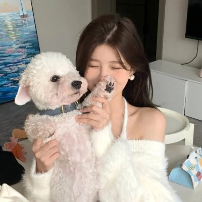 齐木楠雄的灾难第一季 高清封面
